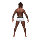 153275WHLG-6-1.png
