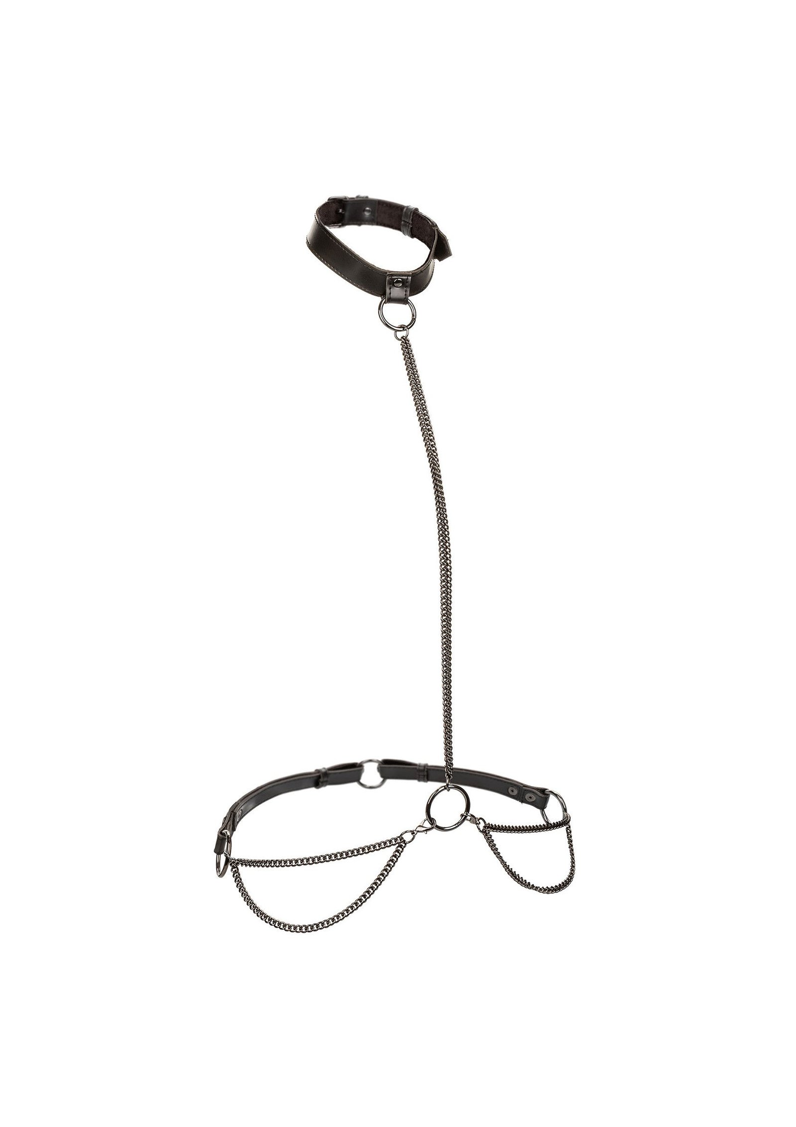 Chain Halter & Collar Plus
