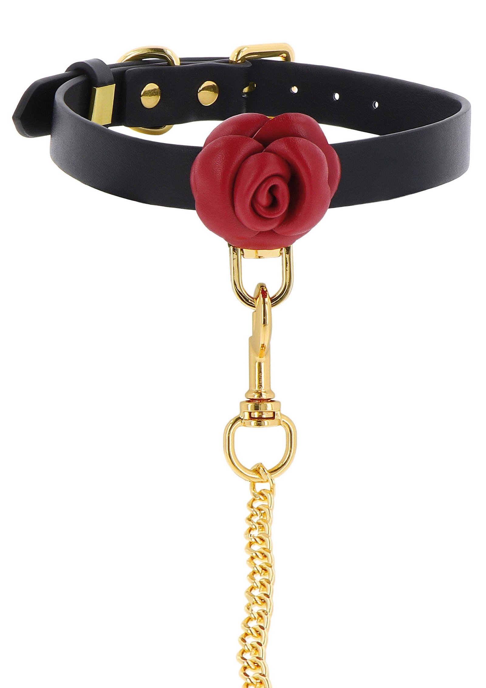 Wild Roses Collar & Leash 5
