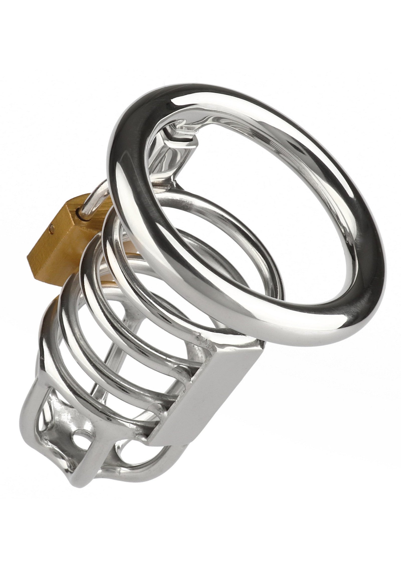 Master Chastity Cock Cage 4