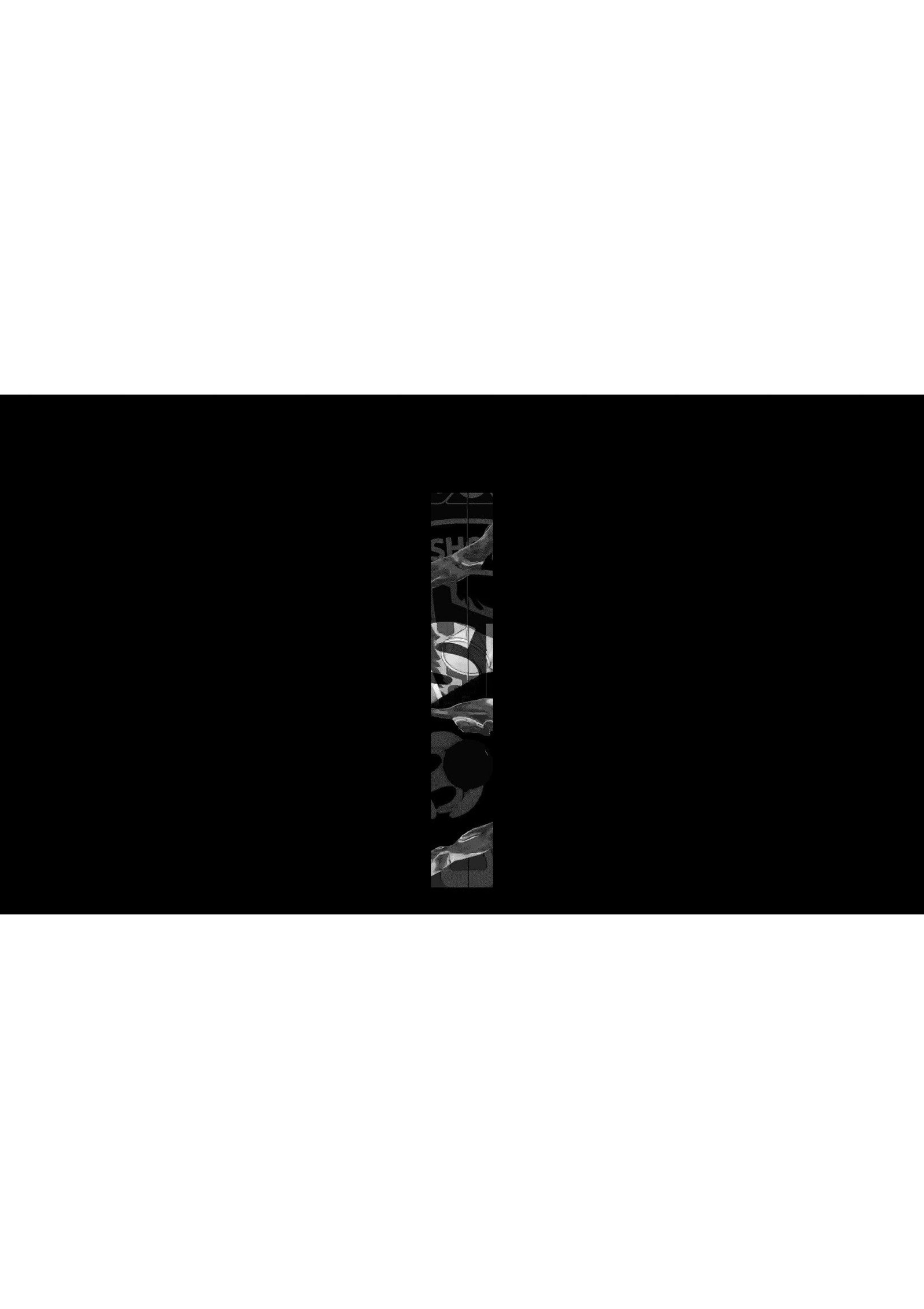 MadWish Pro ENG/DE 2