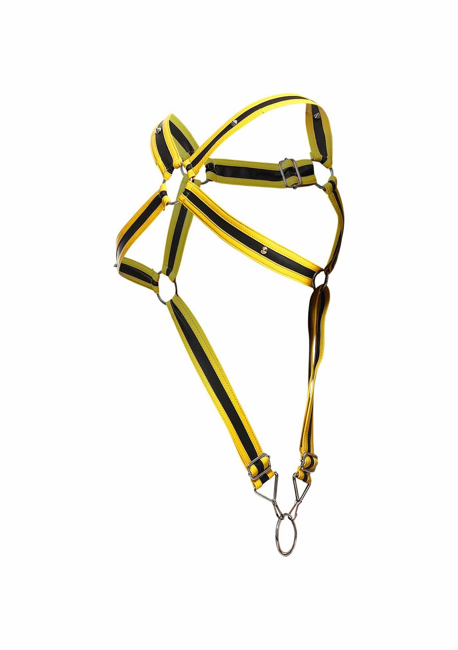 DNGEON Cross Cockring Harness 2