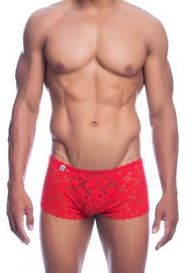 Rose Lace Boy Short