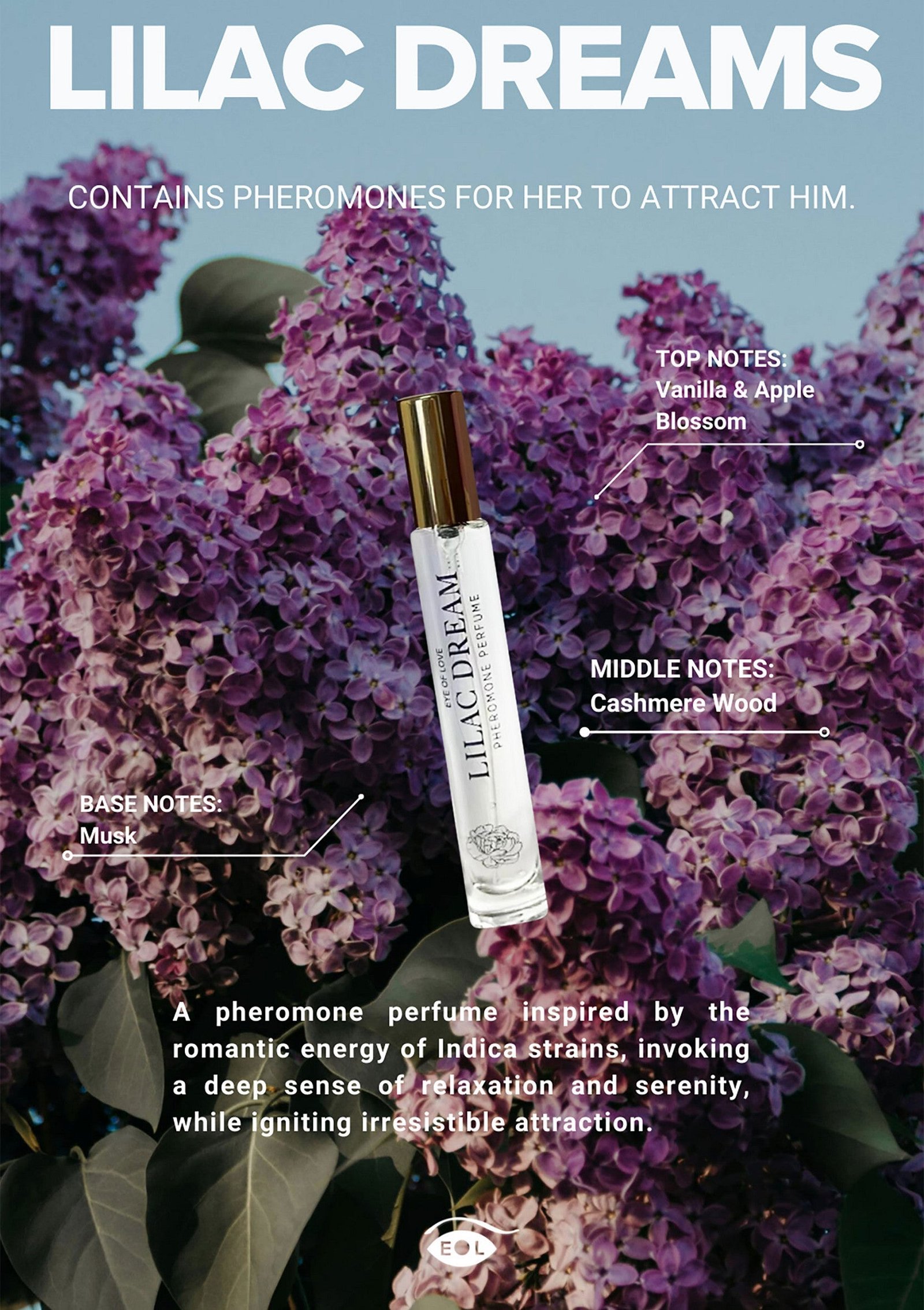 Phero Parfum Attract Him 10 ml 5