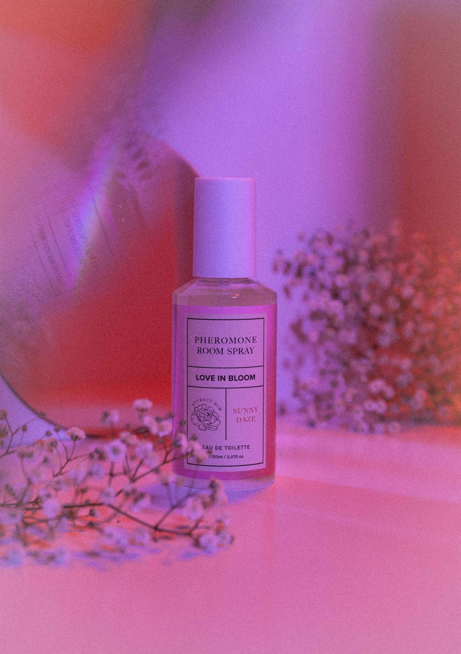 Room Phero Attract Him 150 ml 4