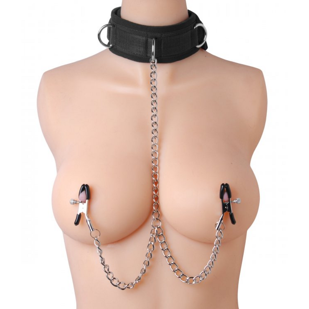 Submission - Collar and Nipple Clamp Union 3