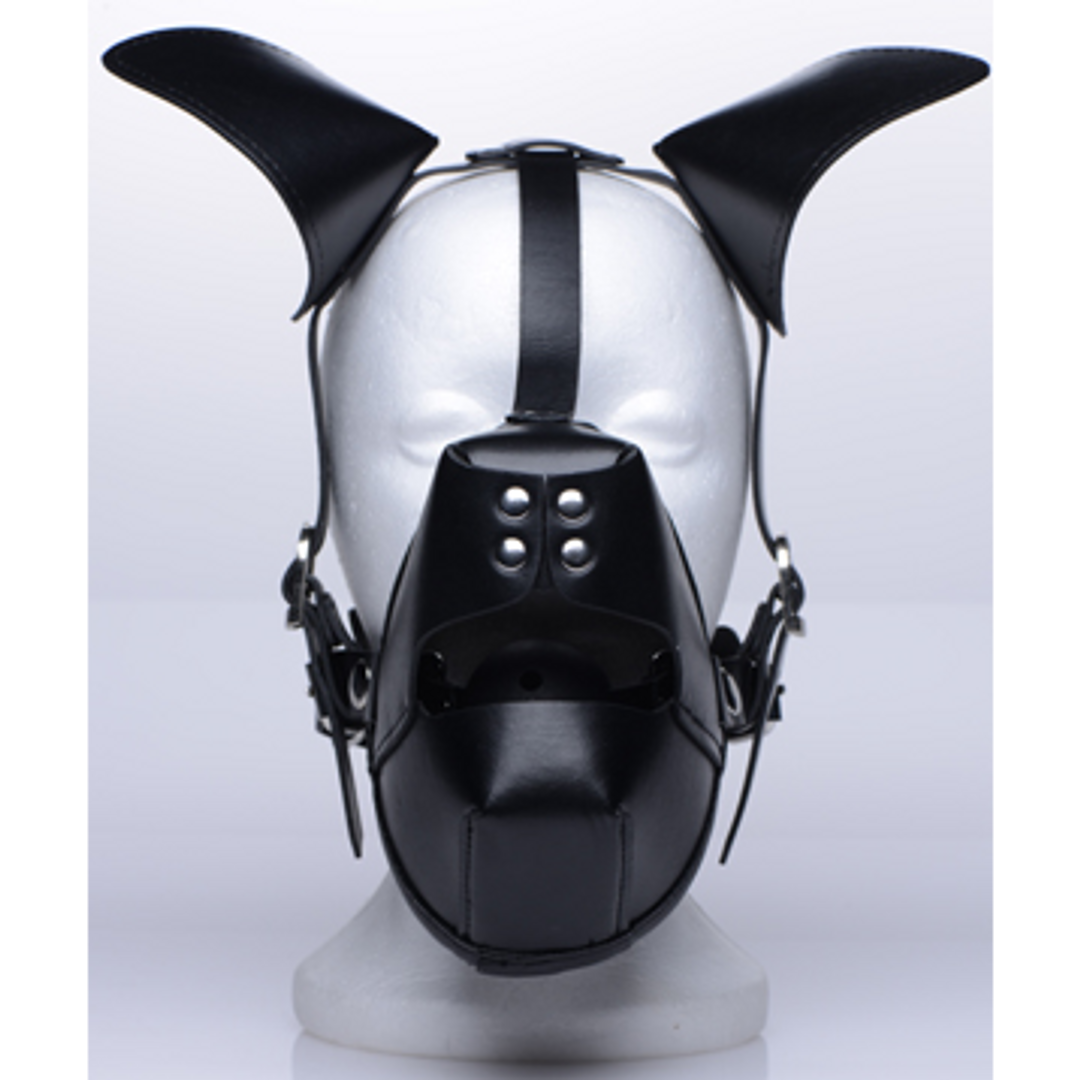 Pup - Puppy Play Mask + Breathable Ball Gag 3