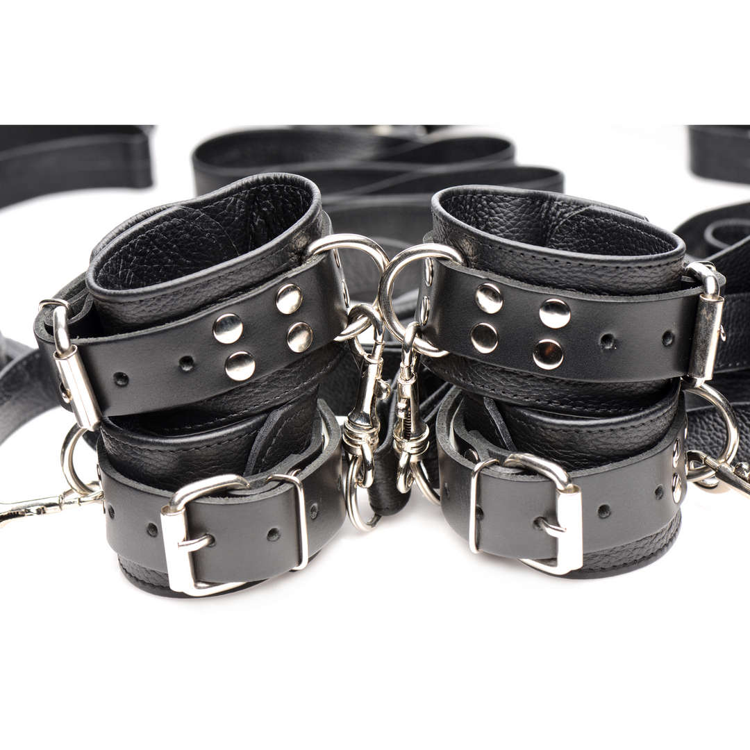 Leather Bed Restraint Kit 5