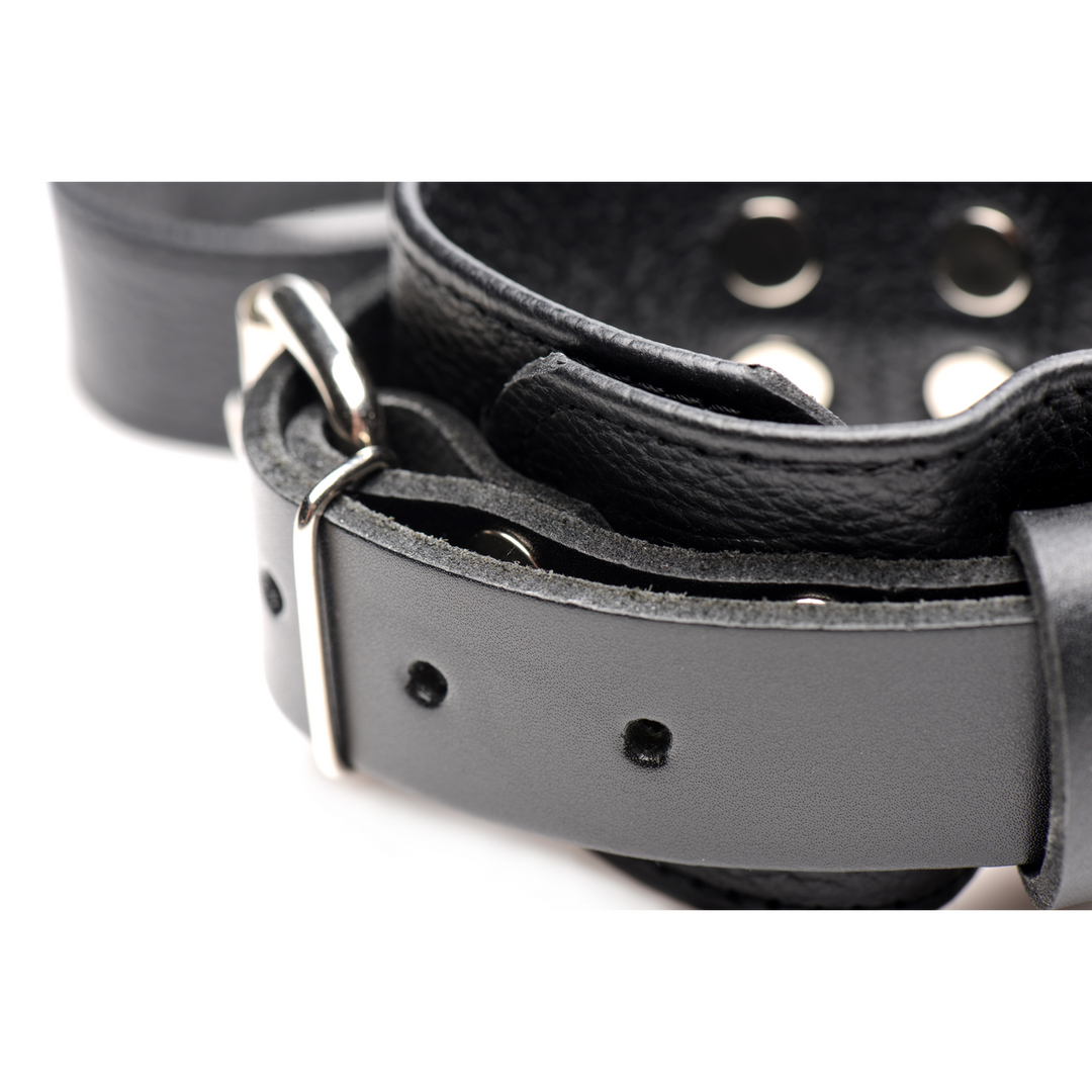 Leather Bed Restraint Kit 6