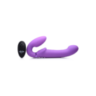 AG495.png