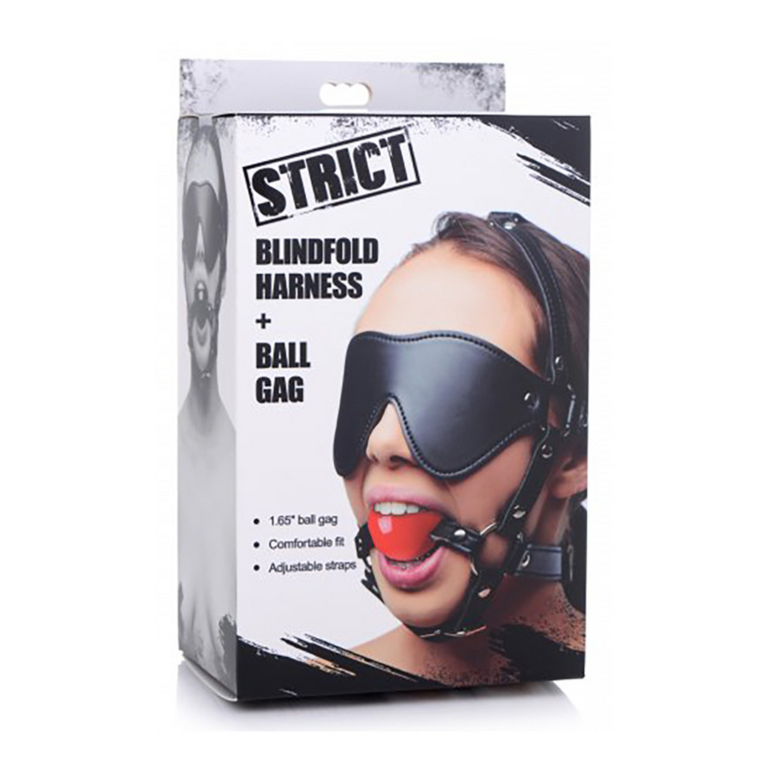 ST Blindfold Harness with Ball Gag 2