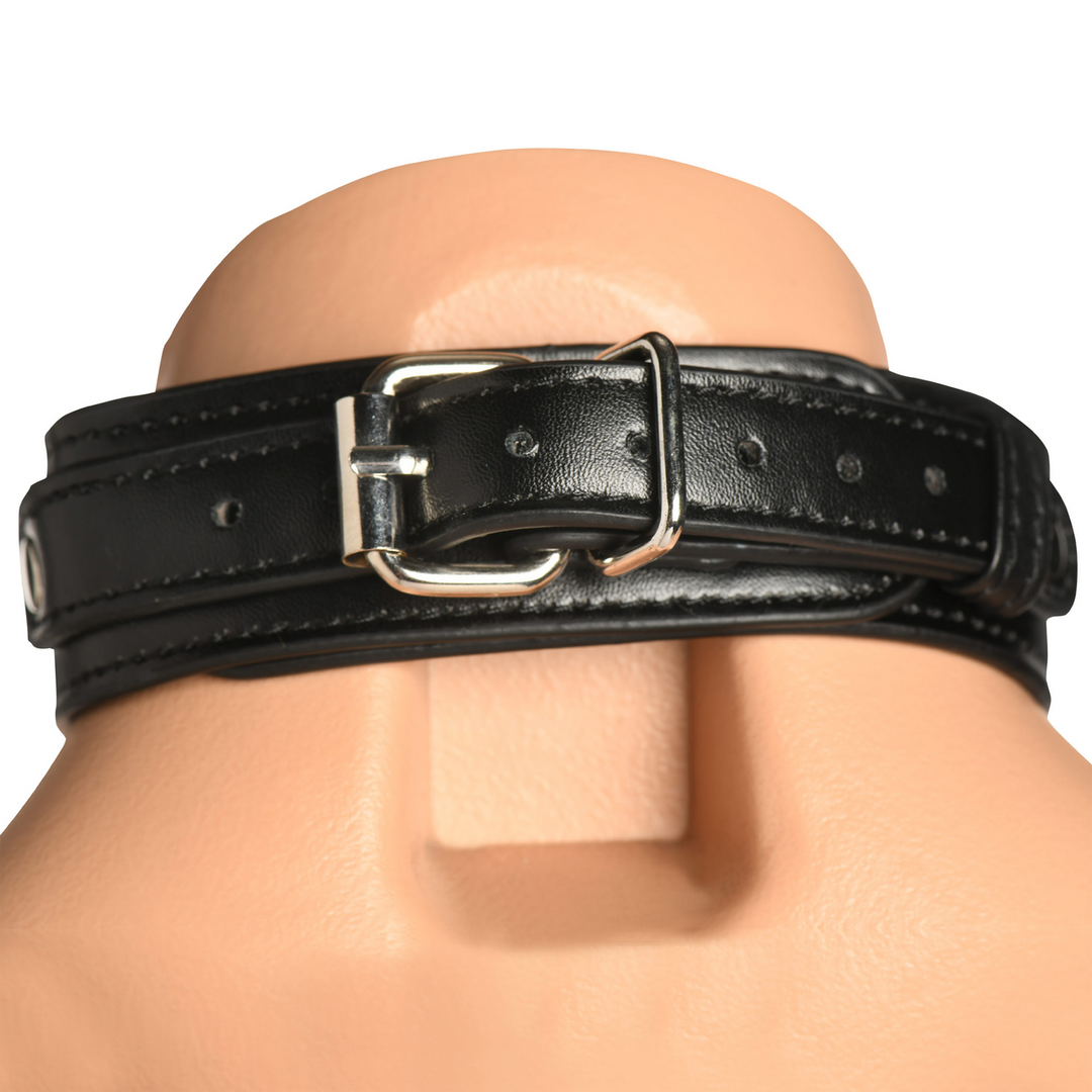 Vixen - Female Chest Harness - Black 4