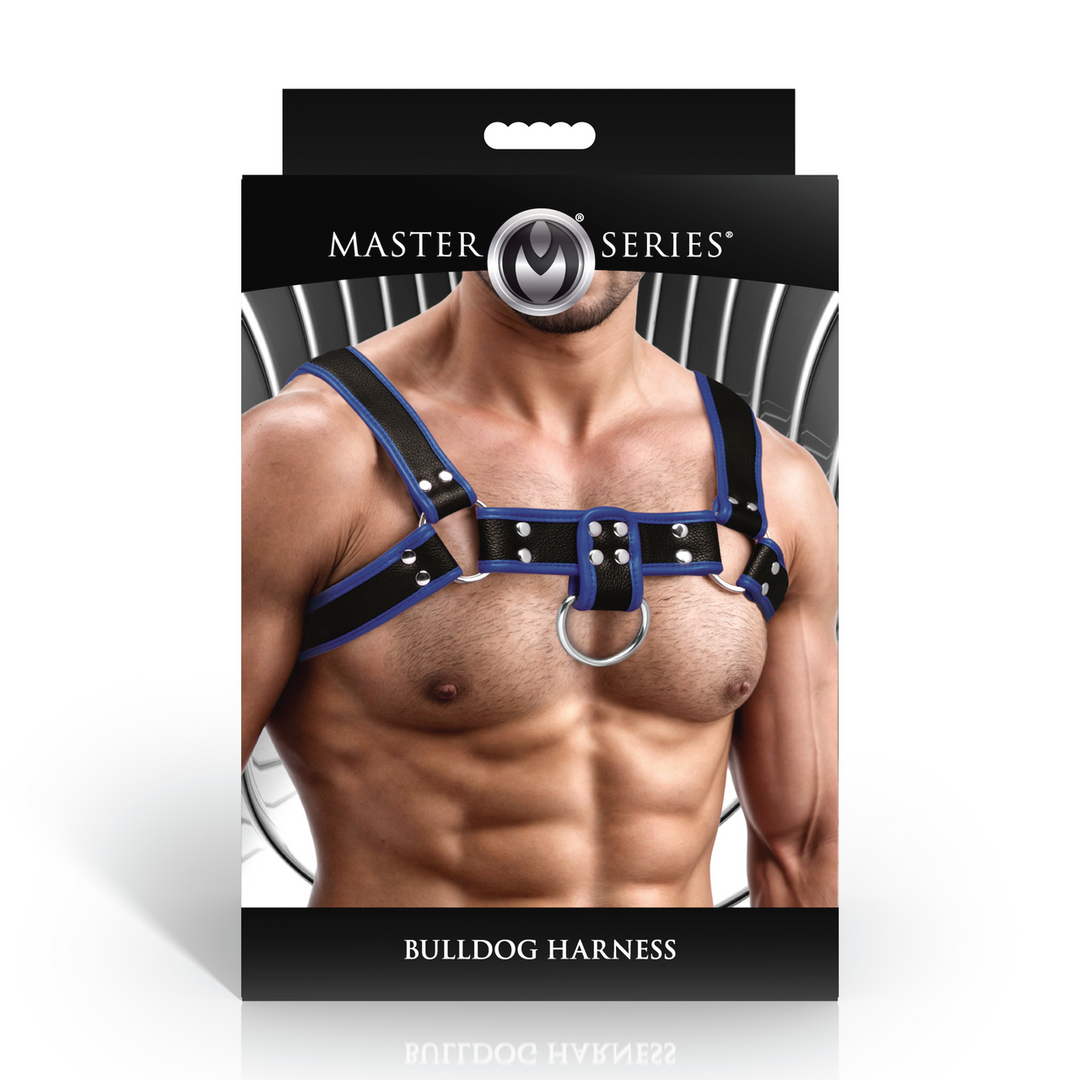 Bulldog Harness - Blue 3