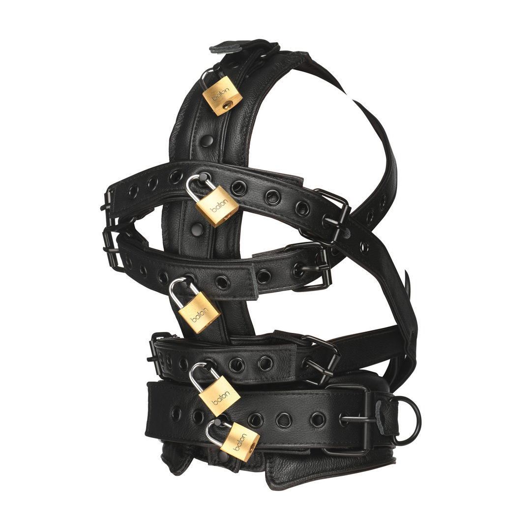 Leather Head Harness with Muzzle - Black 4