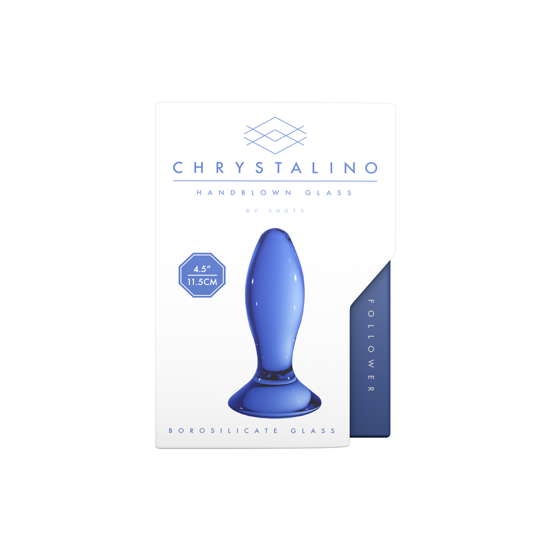 Follower - Glass Butt Plug 3
