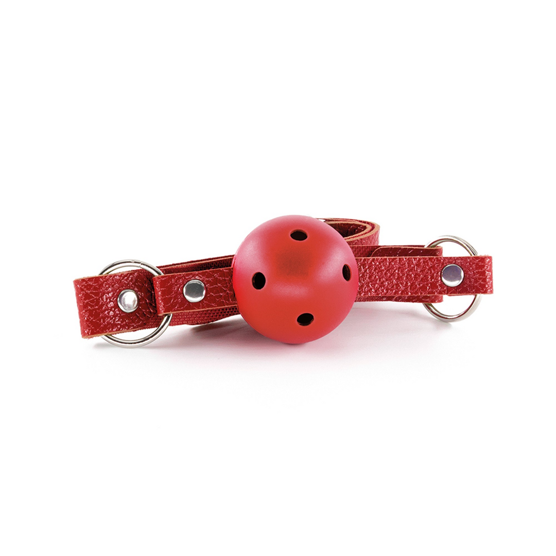 Dungeons and Maidens - 8 Piece BDSM Kit - Red 4