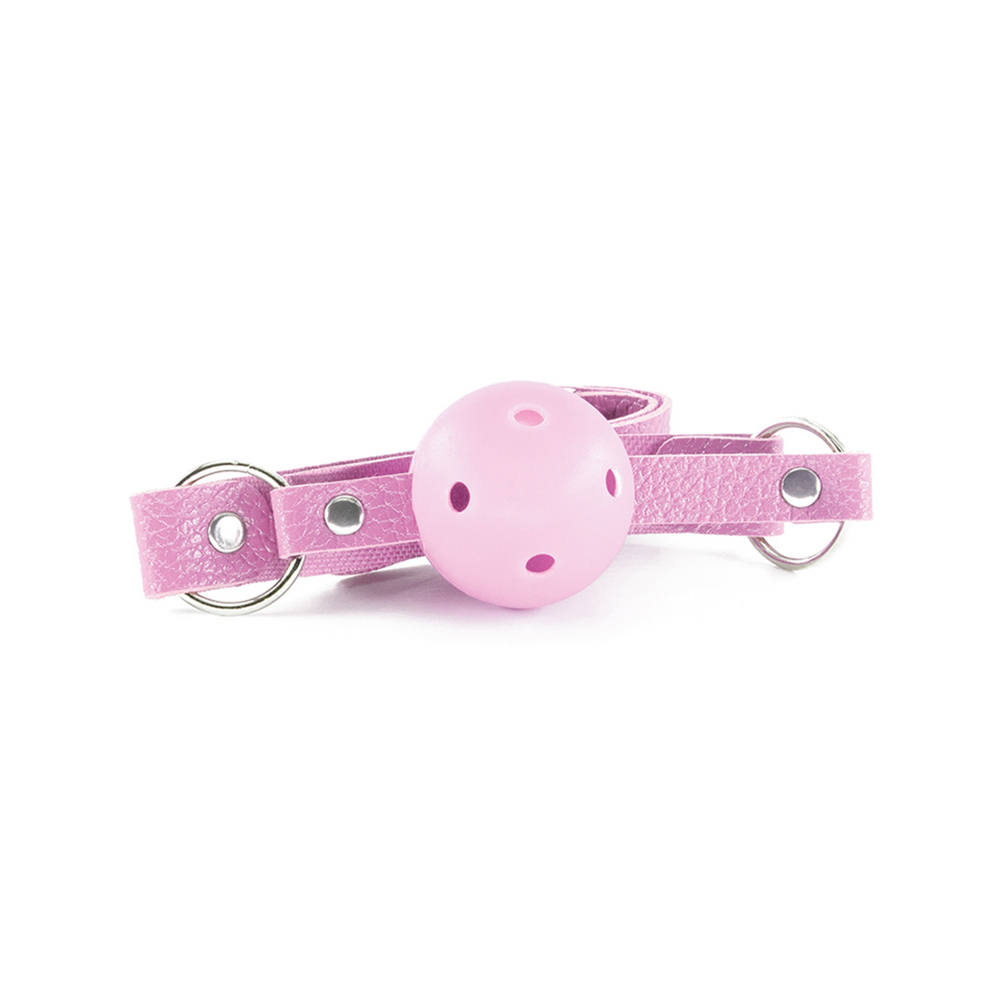 Dungeons and Maidens - 8 Piece BDSM Kit - Pink 4