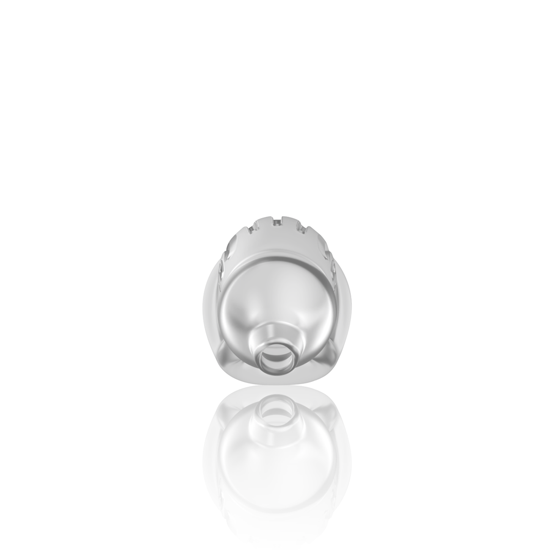Model 29 - TPE Chastity Cage - Transparent 5