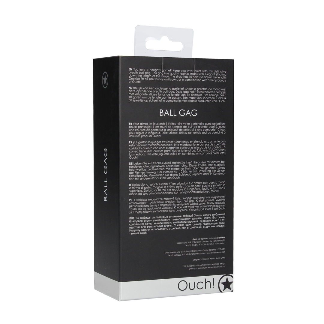 Ball Gag 3