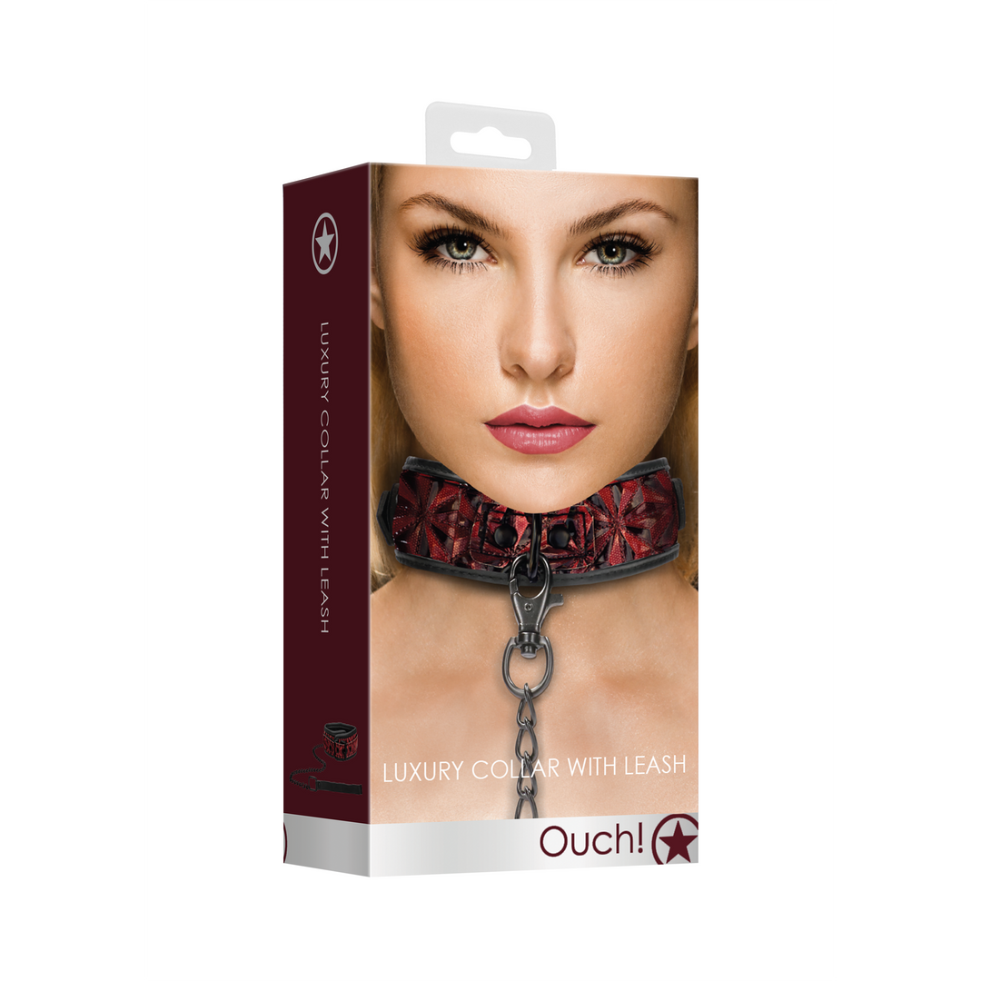 Collar with Leash 2