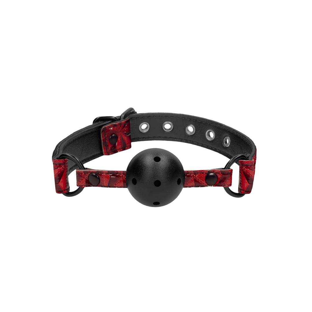 Breathable Ball Gag 4