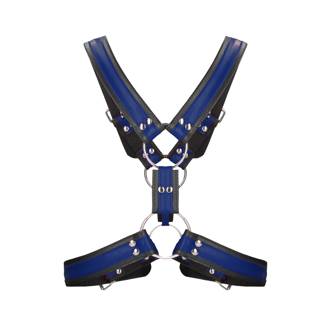 Scottish Leather Harness - L/XL 4