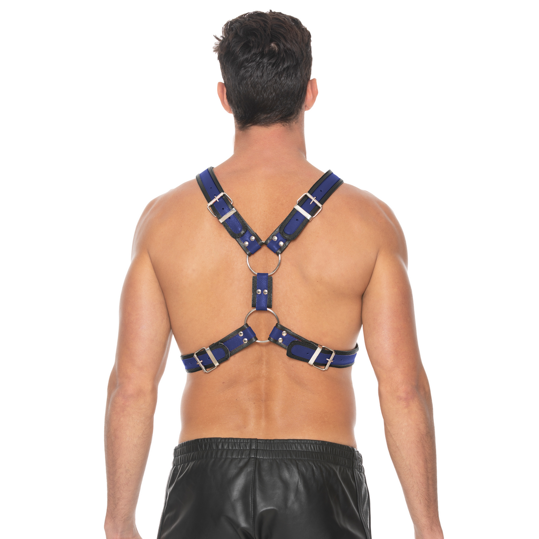 Scottish Leather Harness - L/XL 5