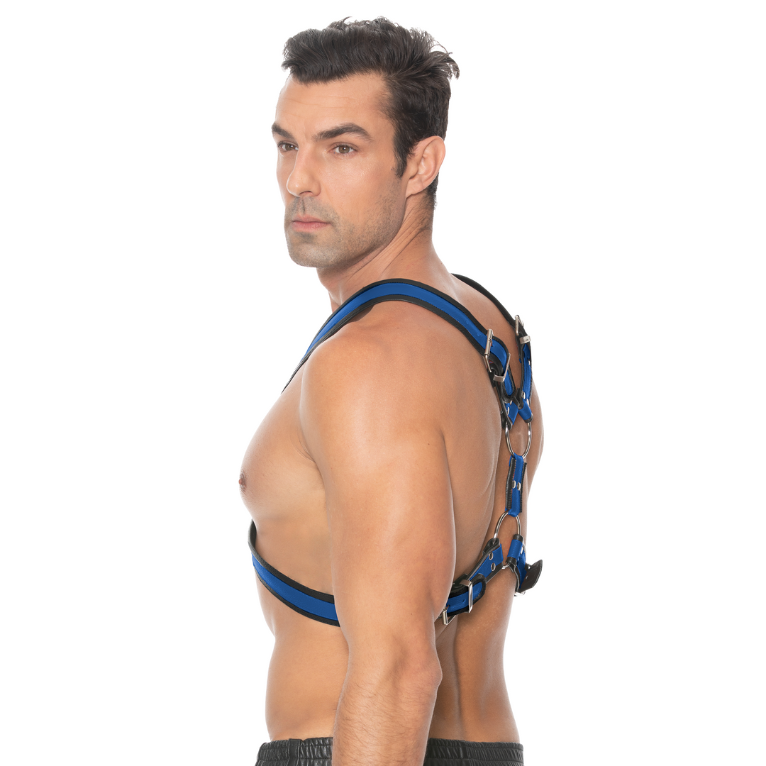 Scottish Leather Harness - L/XL 6