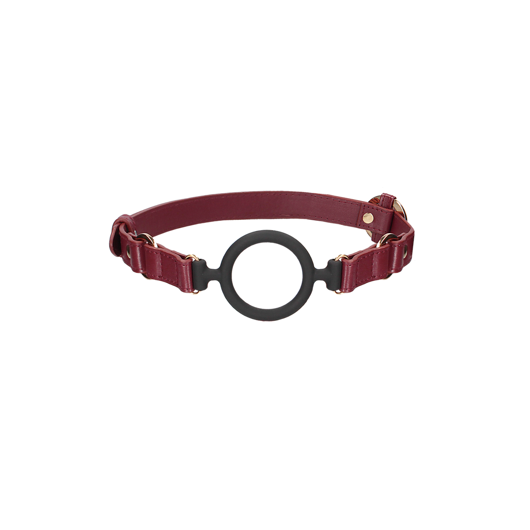 Silicone Open Ring Gag 4