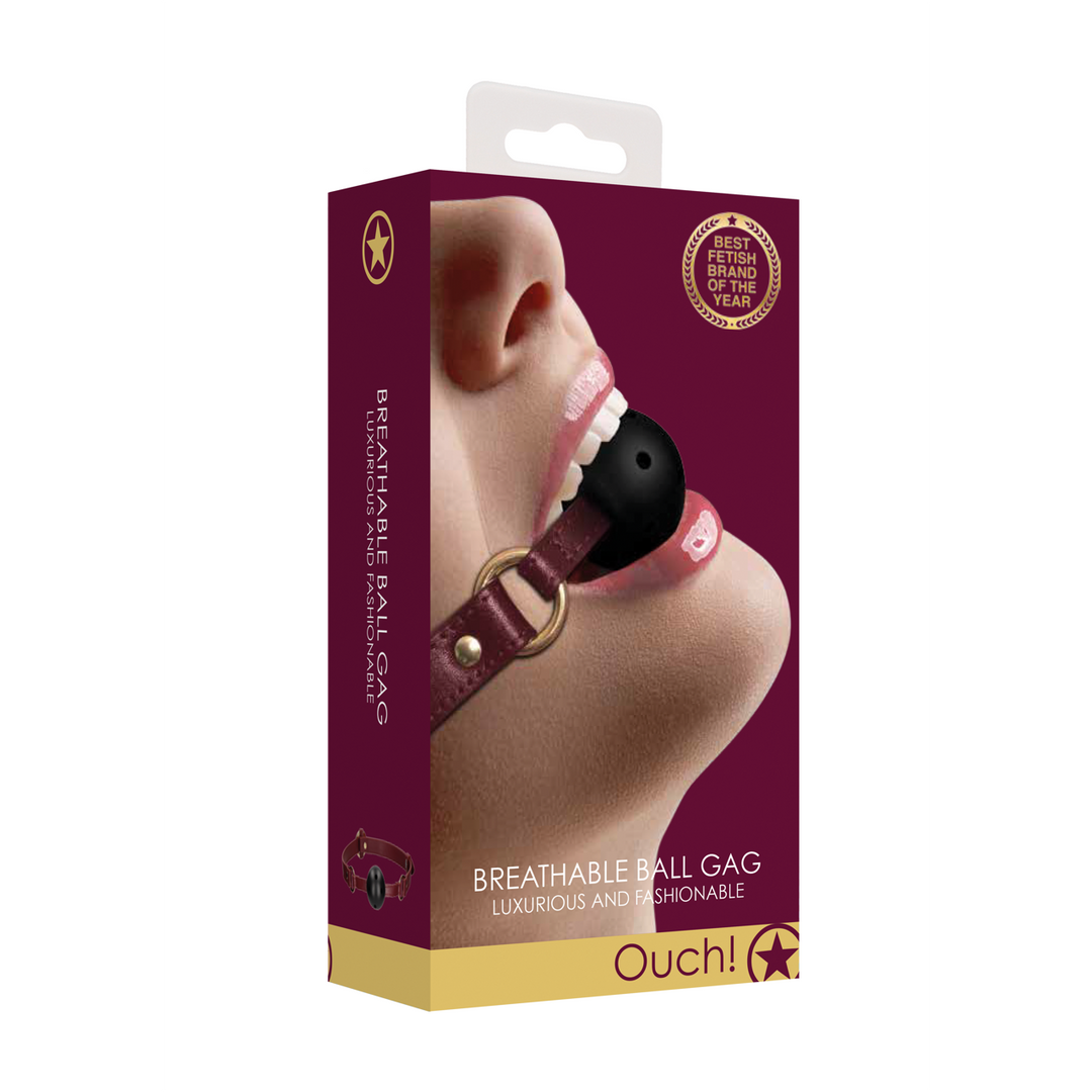 Breathable Ball Gag 2