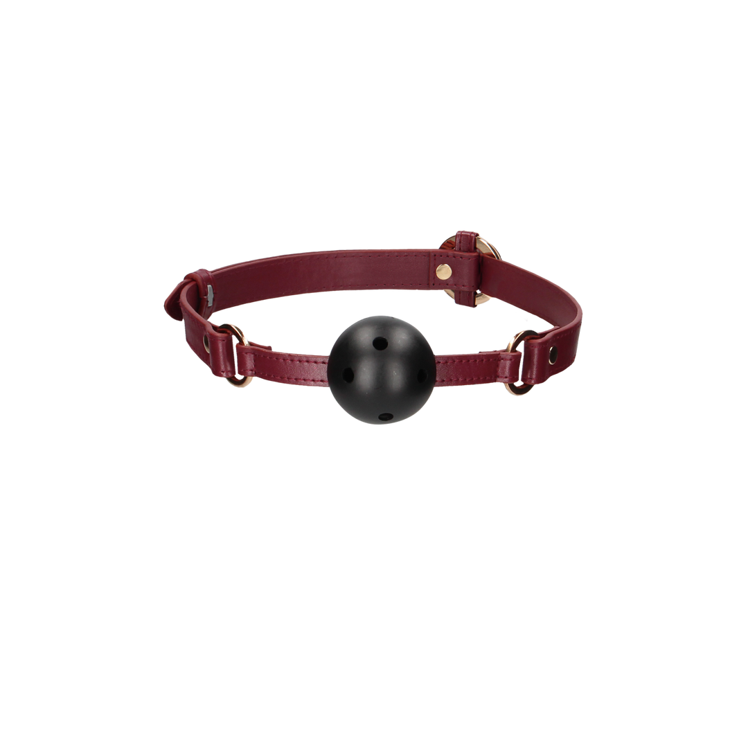 Breathable Ball Gag 4