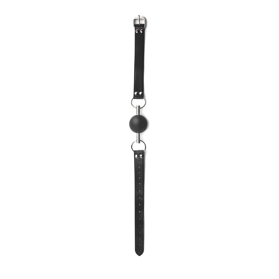 Solid Ball Gag 5