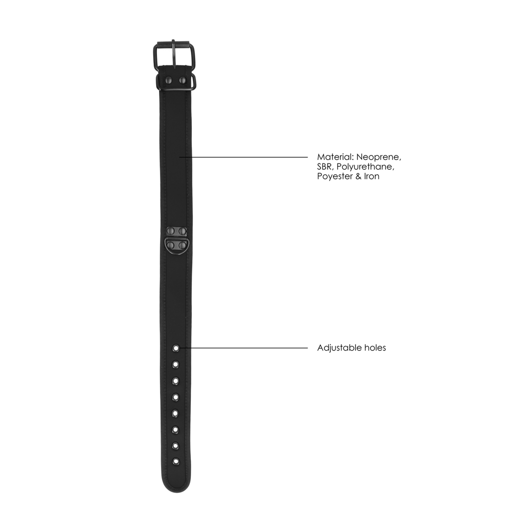 Neoprene Collar with Leash 6