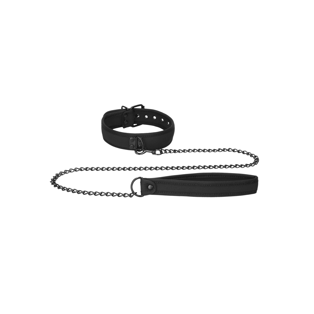 Neoprene Collar with Leash 4