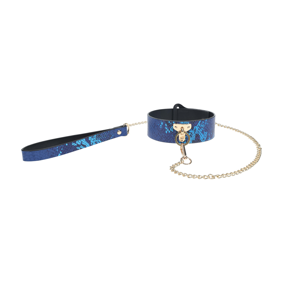 Florence Collection - Collar with Leash - Blue 4