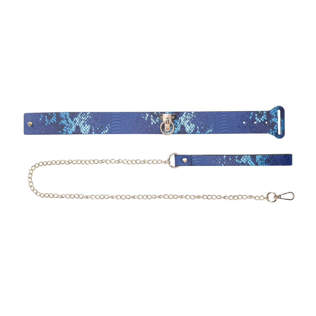 Florence Collection - Collar with Leash - Blue 5