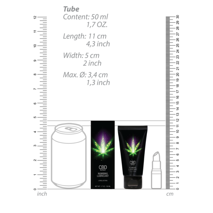 PHA185_6_1.png PHA185_6_1.png
