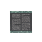 PHA206_2_1.png