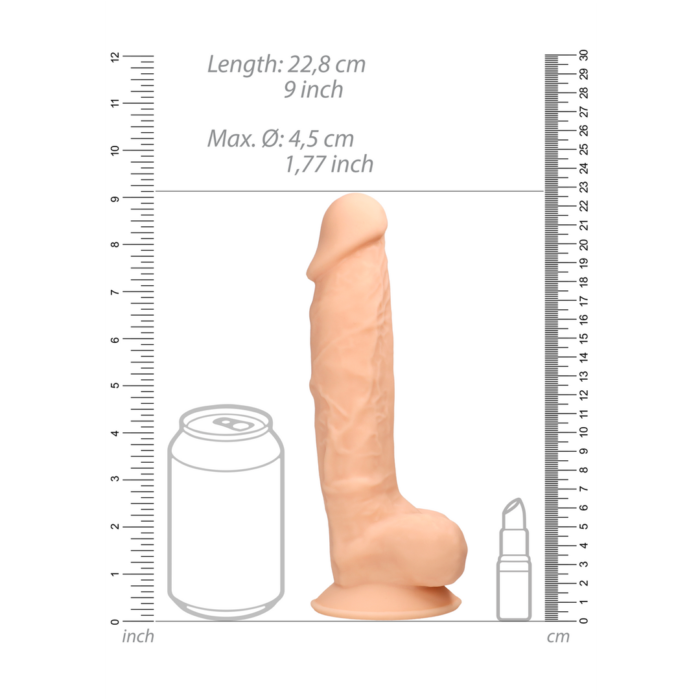 REA077FLE_6_1.png