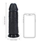 REA173BLK_5_1.png