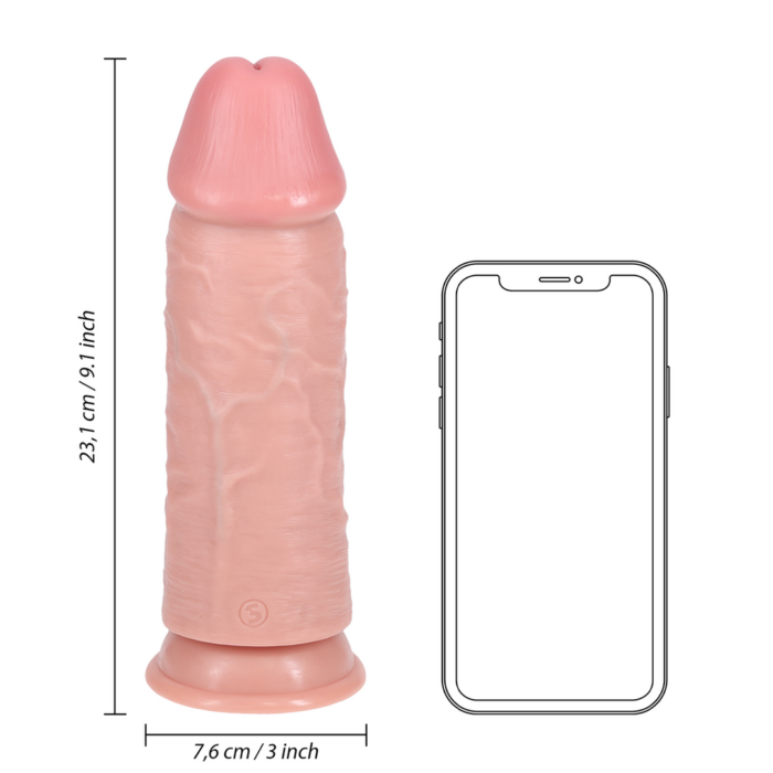 REA173FLE_6_2.png