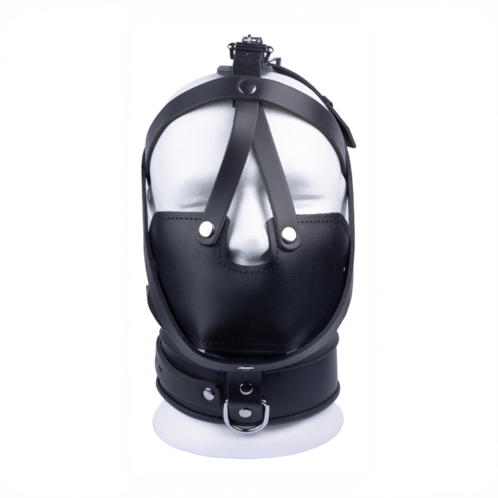 RL-13369-5.png