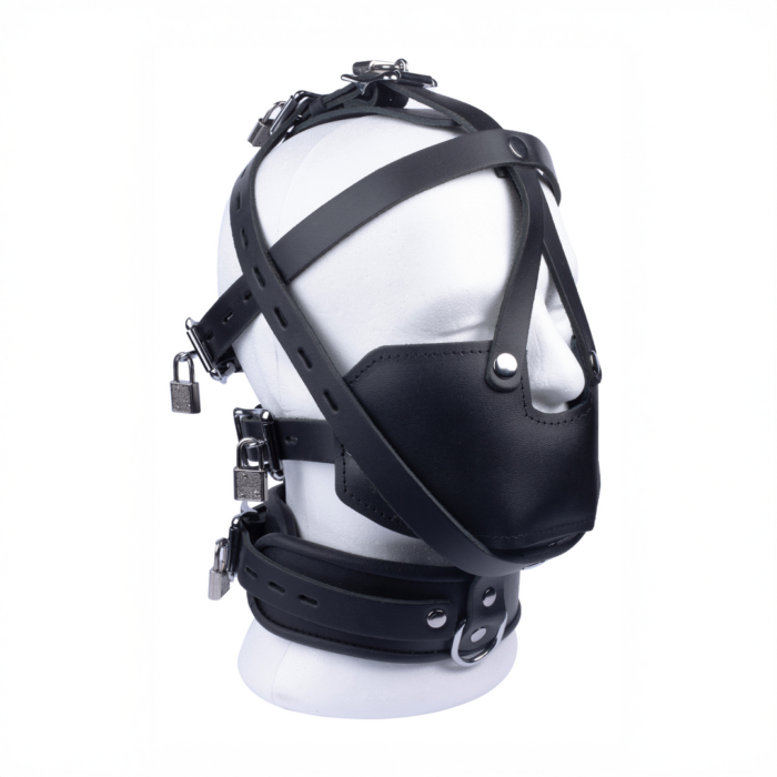 RL-13369-6.png