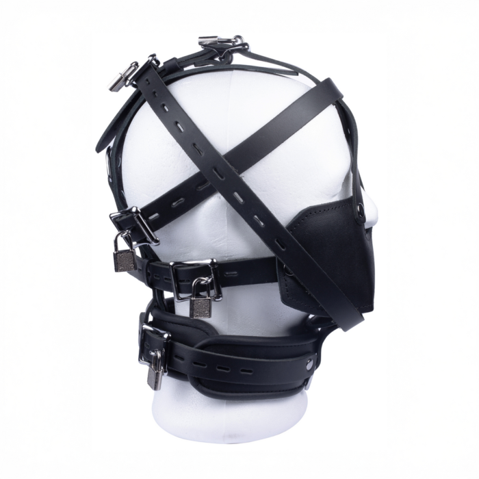 RL-13369-7.png