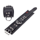 RL-13422-5.png