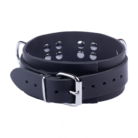 RL-13774-5.png
