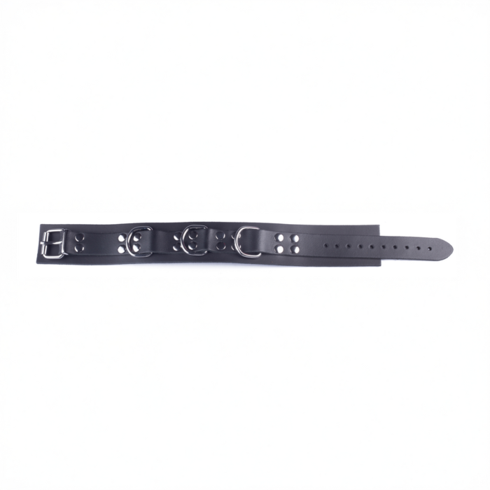 RL-13774-6.png