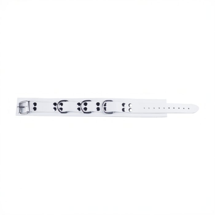 RL-13880-6.png