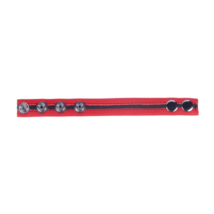 RL-14240-6.png