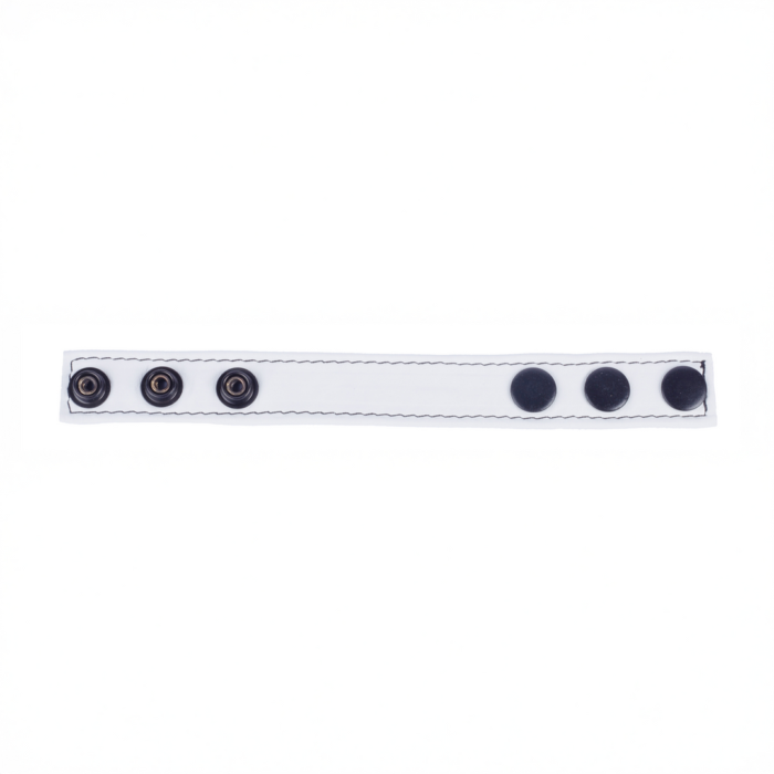 RL-14561-6.png